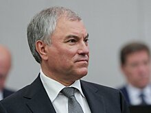 Вячеслав Володин: главное сейчас — всем объединить силы и возможности