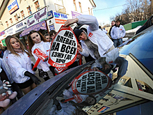 Движение «СтопХам» ликвидировали