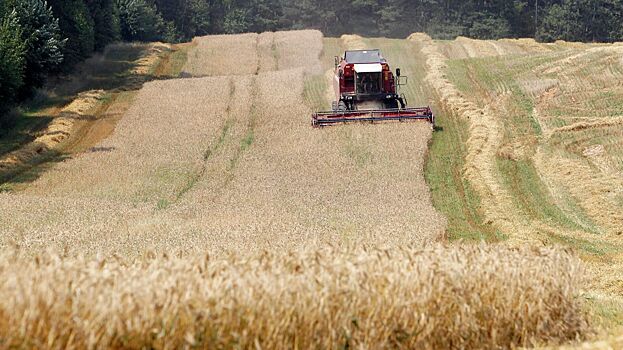 Россия и Турция обсуждают вопросы поставки миллиона тонн зерна