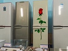 Мировой суд оштрафовал "Ситилинк" за некачественный холодильник в пользу татарстанца