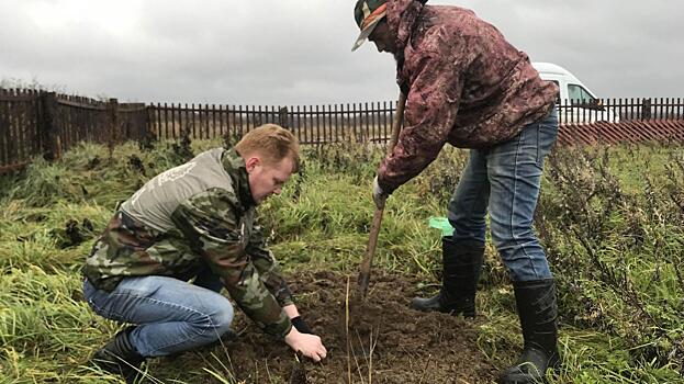 Вологжане посадили 130 деревьев на родине Александра Клубова