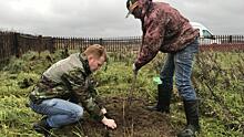 Вологжане посадили 130 деревьев на родине Александра Клубова