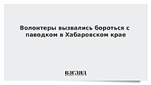 Волонтеры вызвались бороться с паводком в Хабаровском крае