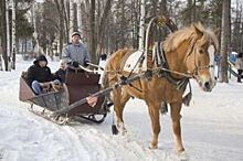 Челябинцы недовольны запретом кататься на лошадях в ледовом городке