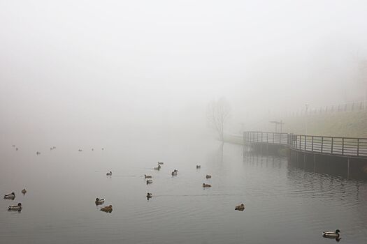 Психолог предупредил москвичей о «туманной депрессии»