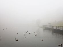 Психолог предупредил москвичей о «туманной депрессии»