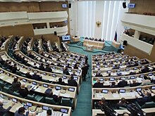 Профильный комитет Совфеда поддержал поправки Яровой