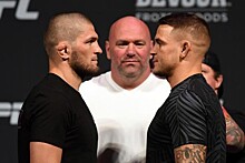 Масвидаль не будет болеть за Хабиба во время UFC 242