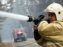 Для тушения крупного пожара под Воронежем была задействована авиация МЧС