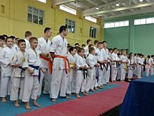 Нижегородские каратисты заняли девять призовых мест на турнире в Кинешме