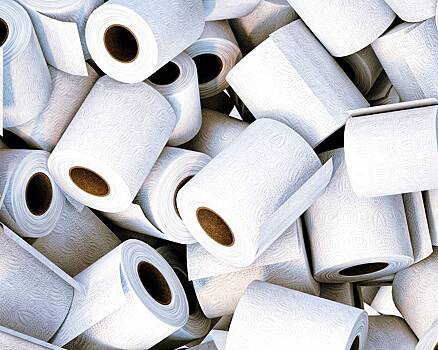 Назван неожиданный способ применения туалетной бумаги