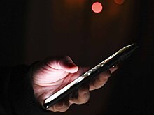 Социальный фонд России предупредил о новом виде мошенничества