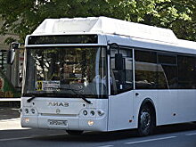 Власти Крыма дополнительно закупят 100 новых автобусов для Симферополя