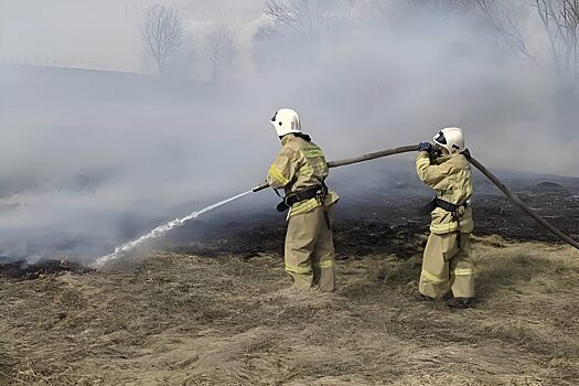 Сухая трава горит чаще
