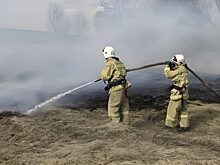 Сухая трава горит чаще