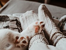 Зачем на самом деле надевать носки на ночь