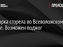 Иномарка сгорела во Всеволожском районе. Возможен поджог