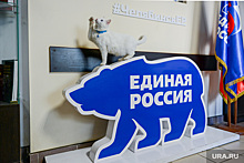 В Челябинске огласили первые итоги праймериз в Госдуму