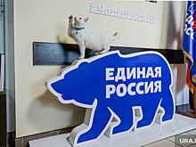 В Челябинске огласили первые итоги праймериз в Госдуму