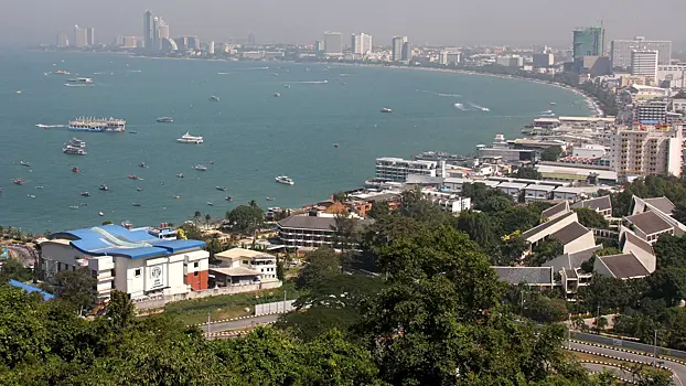 Дети погибшей в Таиланде россиянки вернулись в Россию