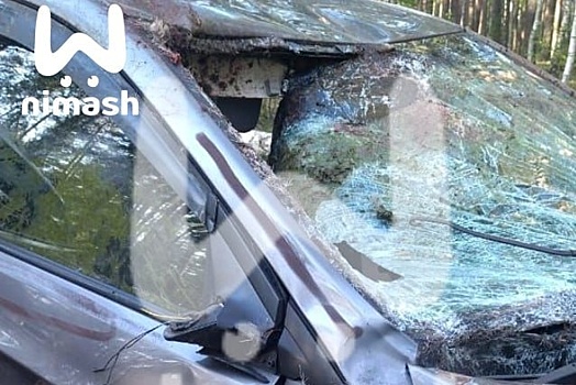 Соцсети: пьяные пассажиры отрезали палец таксисту из-за ДТП в Володарском районе