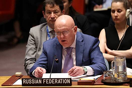 Резолюцию по Газе назвали котом в мешке