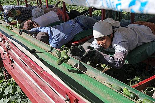 В российском регионе потребовали привлекать иностранных специалистов из-за нехватки кадров