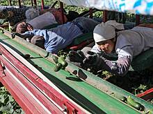 В российском регионе потребовали привлекать иностранных специалистов из-за нехватки кадров