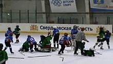 Юные хоккеисты устроили массовую драку в Свердловской области