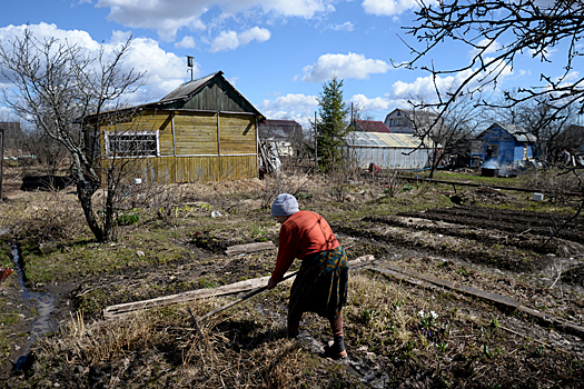 Какие болезни можно подхватить на даче