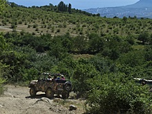 Как водители убивают двигатель летом