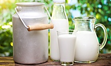 Употребление молока может продлить женскую молодость