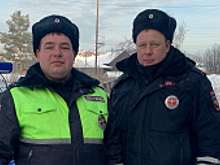 Инспекторы ДПС в Свердловской области помогли замерзавшему на трассе автомобилисту