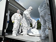 Россия передала Украине 1000 тел солдат ВСУ