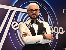 Стали известные новые подробности истории со сталкиванием охранника со сцены Киркоровым