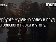 В Петербурге мужчина залез в пруд Полюстровского парка и утонул