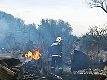 Из-за природных пожаров в Волгоградской области эвакуировали три детских лагеря