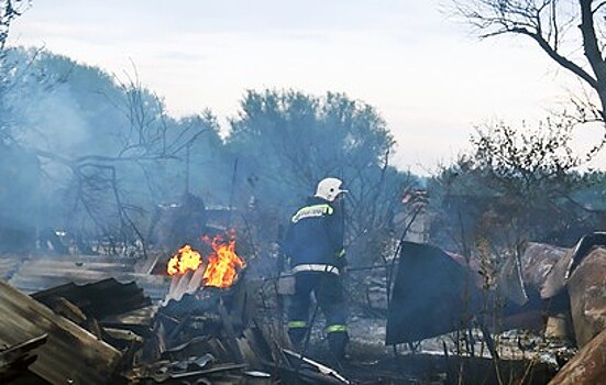 Из-за природных пожаров в Волгоградской области эвакуировали три детских лагеря