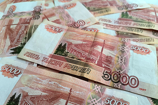 Доходы российских домохозяйств растут, но люди этого не чувствуют: аналитик дала объяснение
