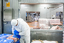 Завод «Стародворские колбасы» во Владимире усилил контроль безопасности свиного сырья