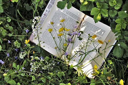 В атмосферу тургеневской эпохи окунулись книголюбы из Сокола