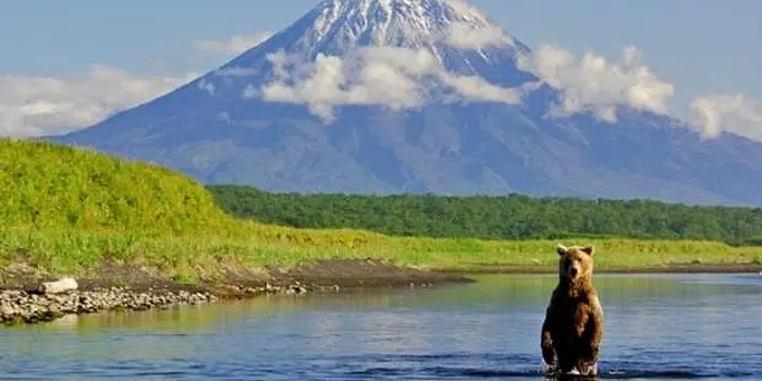 На Камчатке уже осенью запустят проект "Земля для туризма"