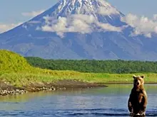 На Камчатке уже осенью запустят проект "Земля для туризма"