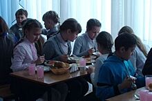 Депутаты поддержали новую систему субсидирования питания в школах
