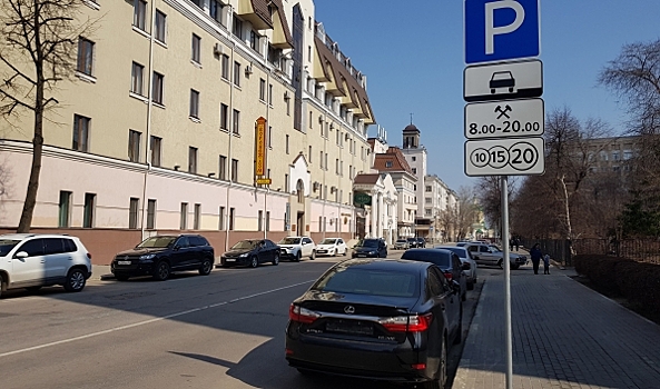 Лишь 5% горожан считают, что власти Воронежа за год справились с реализацией проекта платных парковок