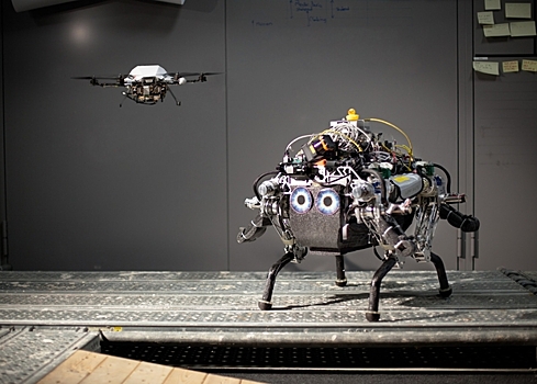 Шагающий робот научился использовать летающего напарника для разведки