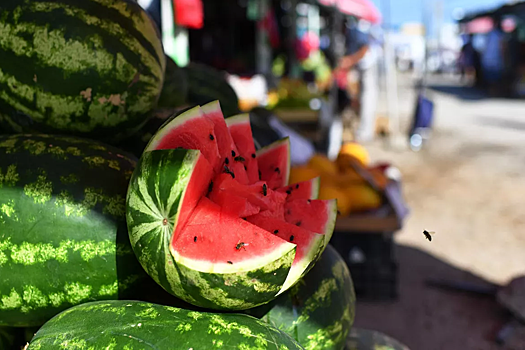 Поступившие на прилавки Волгограда арбузы признаны безопасными
