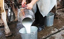 Инвестор вложит в Апастовский молочный комбинат около 1 млрд рублей