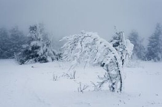 Метели и сильный ветер прогнозируют на 20 января в Иркутской области