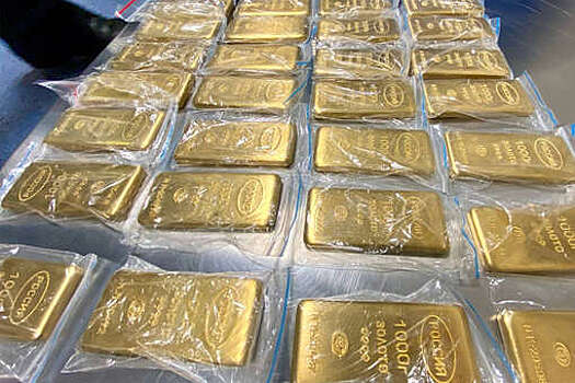 Таможенники во Внуково пресекли контрабанду золотых слитков на 800 млн рублей